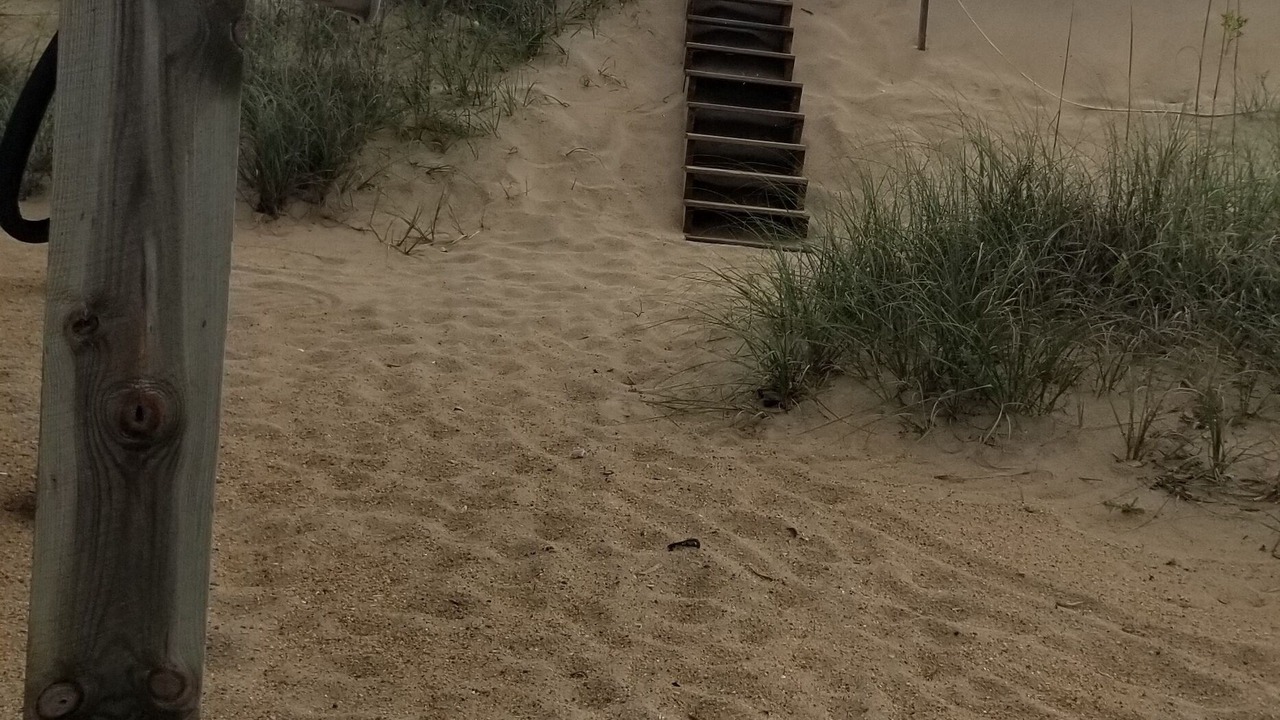 Photo of Others in Kitty Hawk