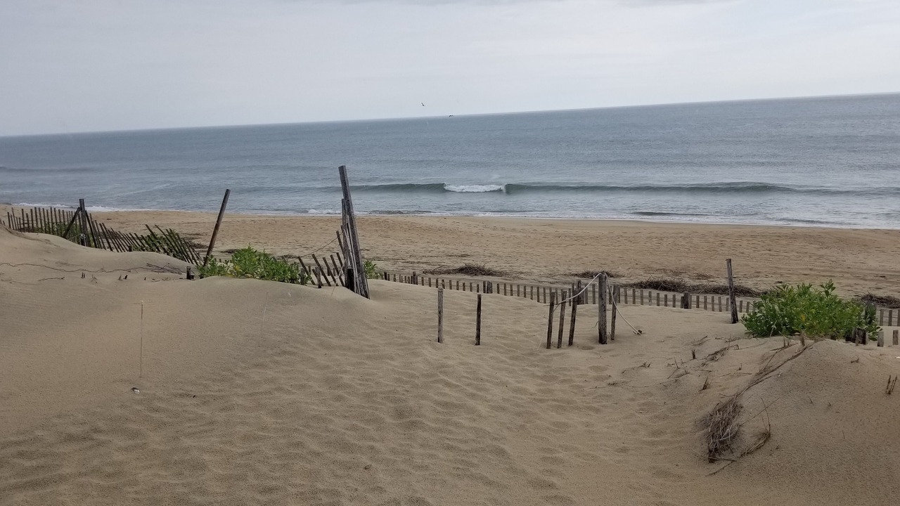 Photo of Others in Kitty Hawk