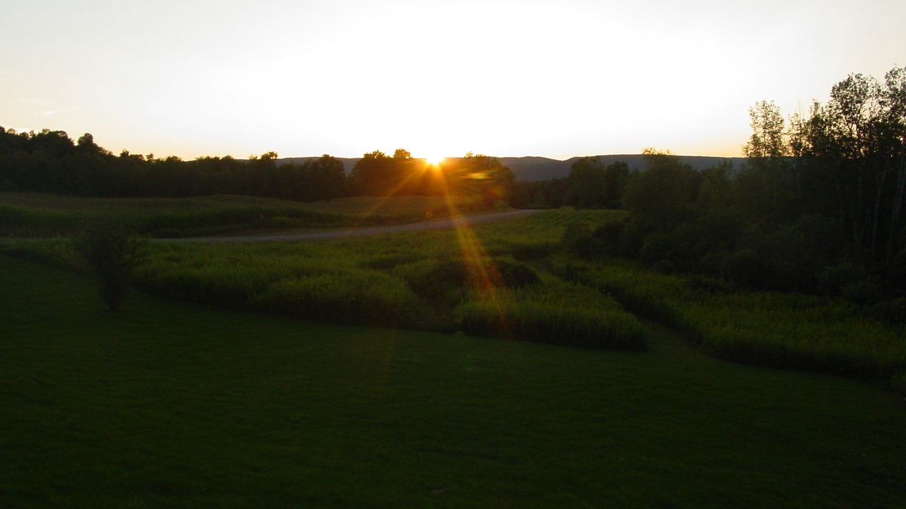 Photo of Others in Naples