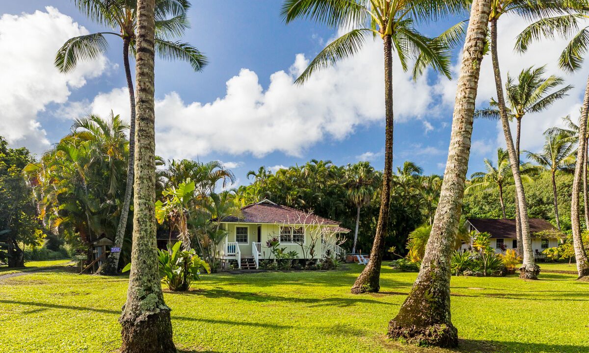 Photo of Outdoor in Kilauea