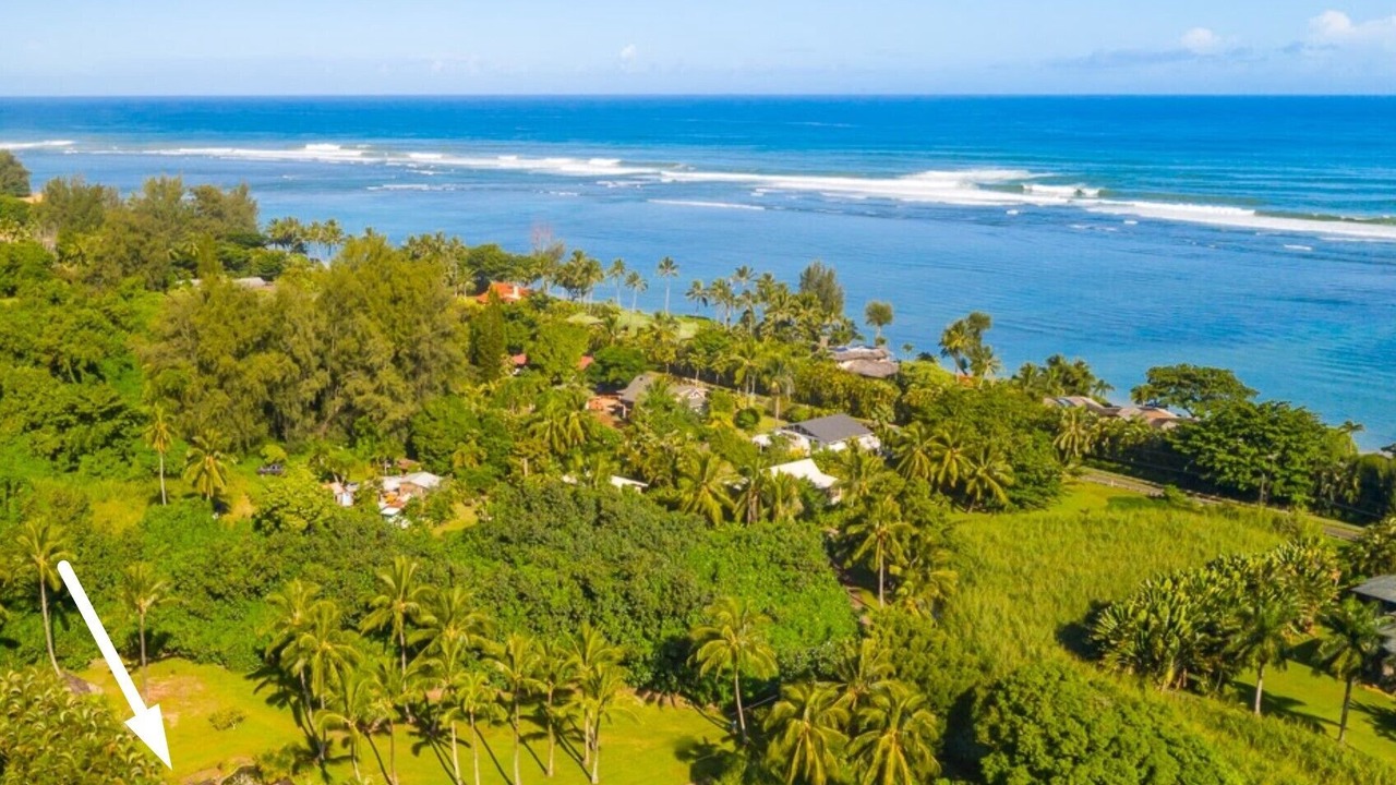 Photo of Outdoor in Kilauea