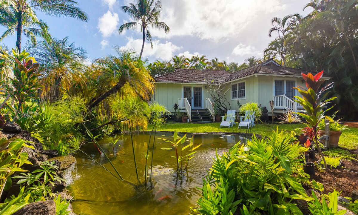 Photo of Outdoor in Kilauea