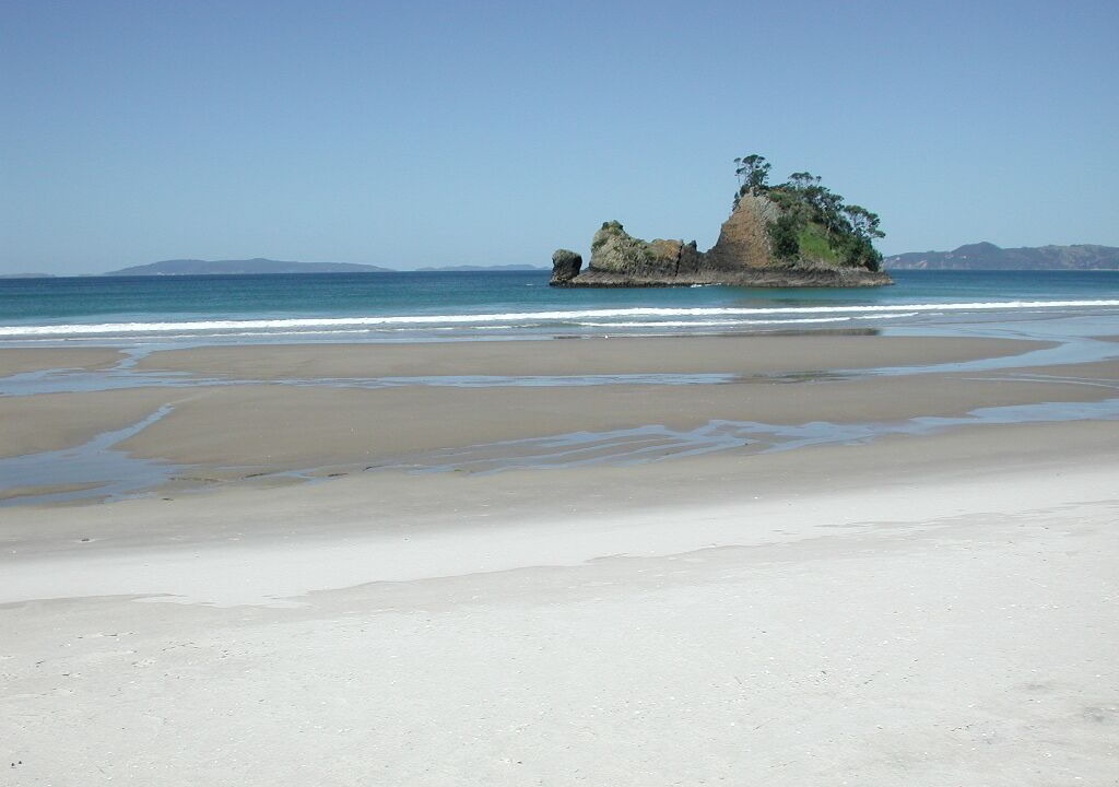 Photo of Others in Whangapoua