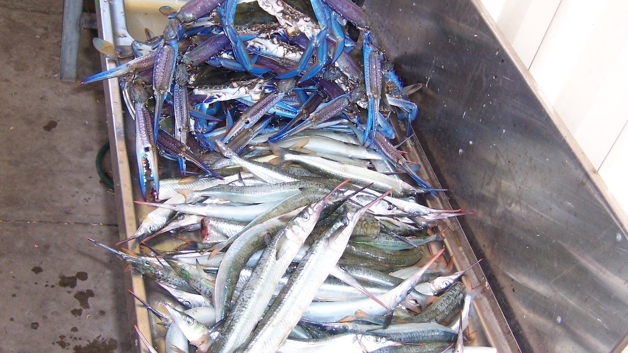 Photo of Others in Dalrymple