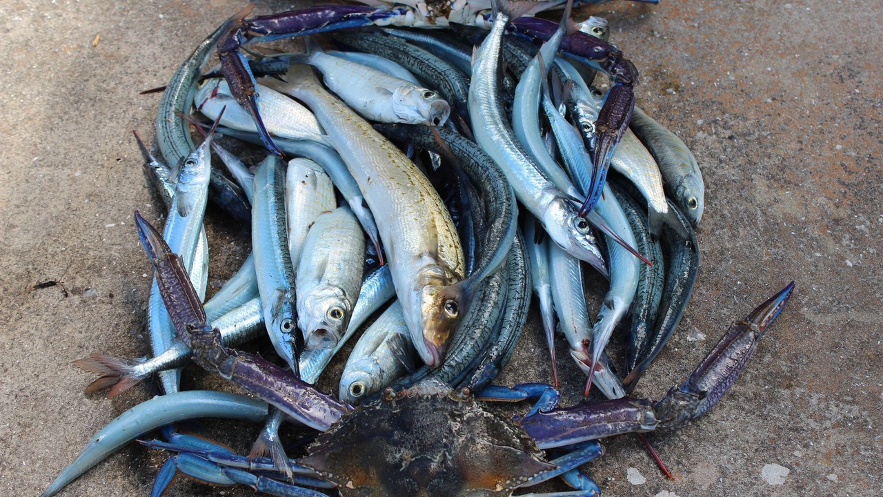 Photo of Others in Dalrymple