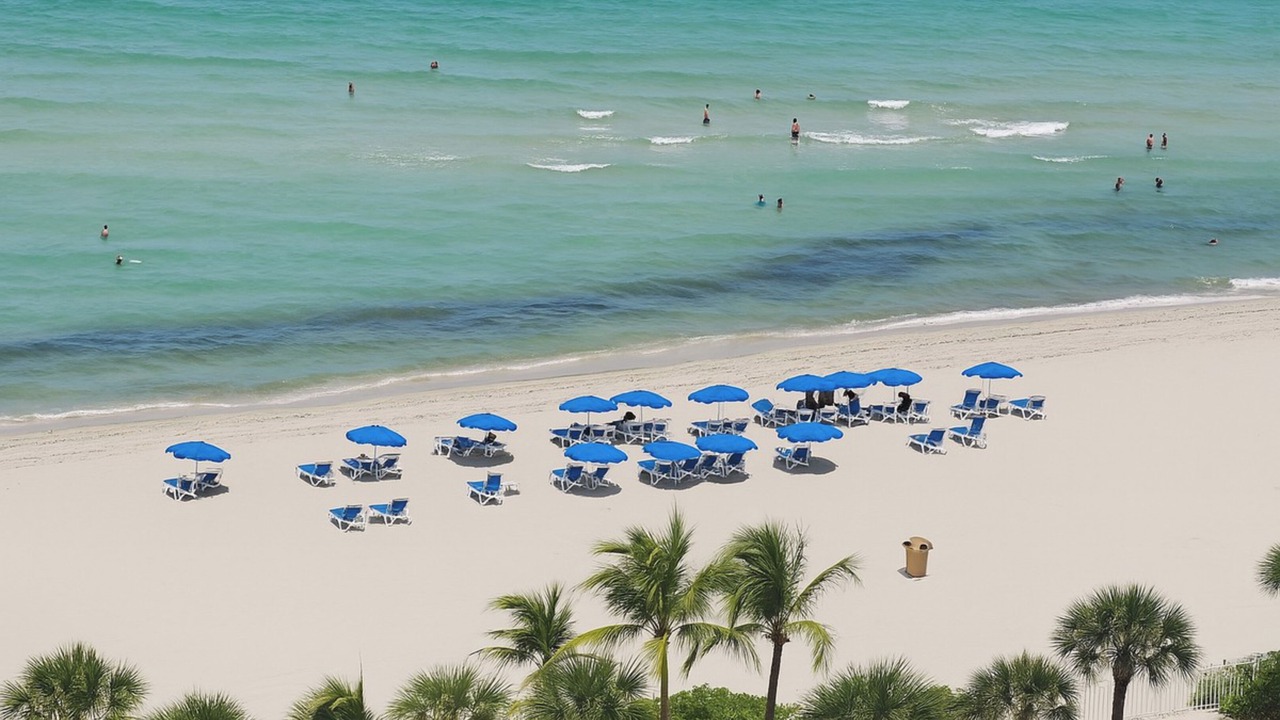 Photo of Others in Sunny Isles Beach