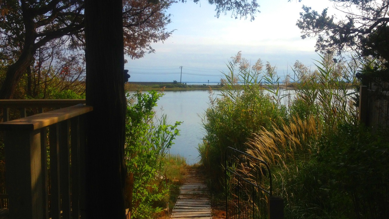 Photo of Others in Oak Bluffs