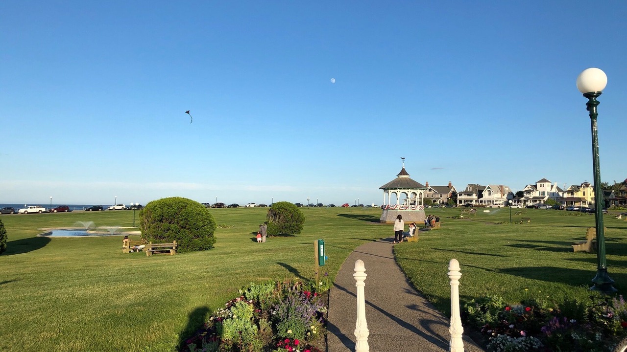 Photo of Others in Oak Bluffs