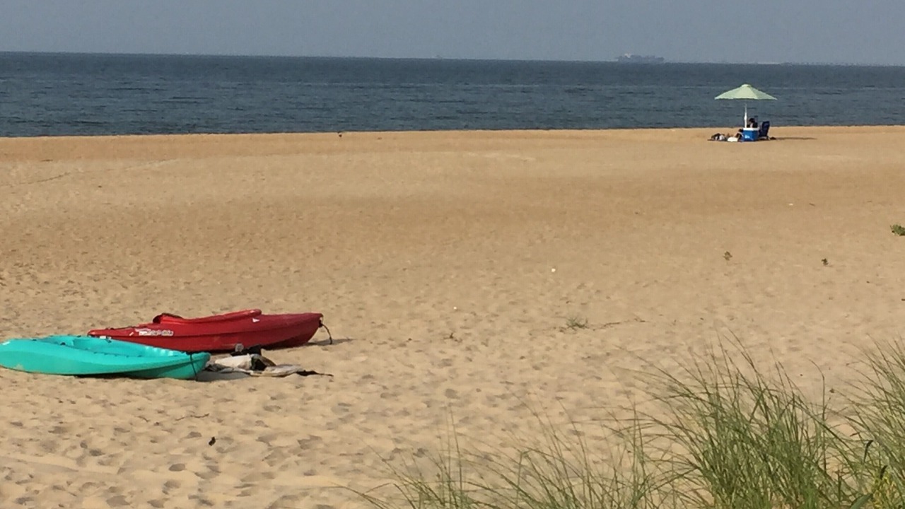 Photo of Others in East Ocean View