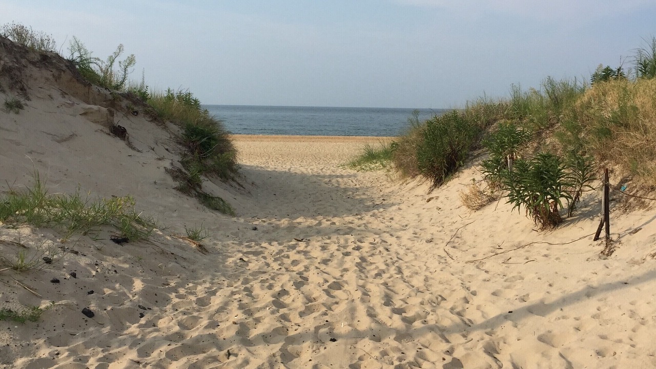 Photo of Others in East Ocean View