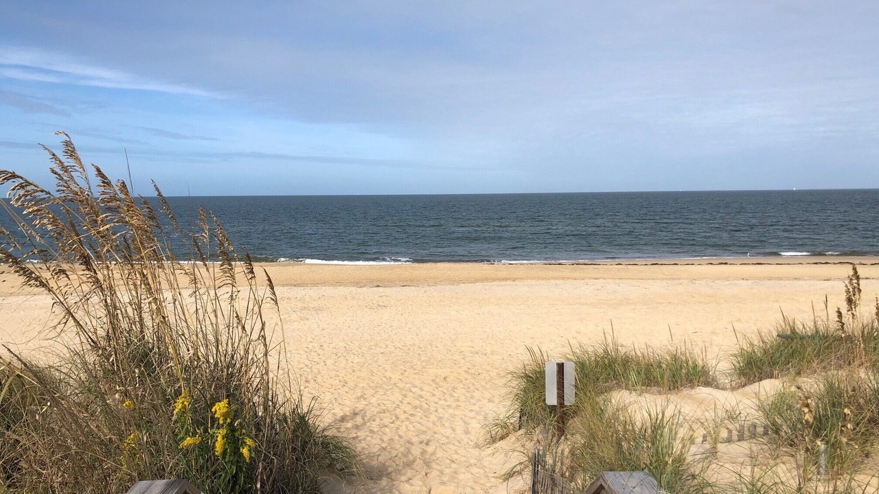 Photo of Others in East Ocean View