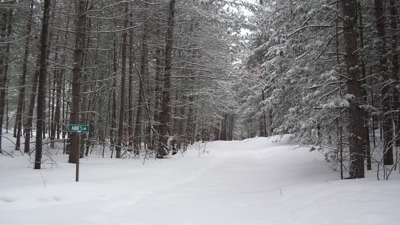 Photo of Others in Lowville