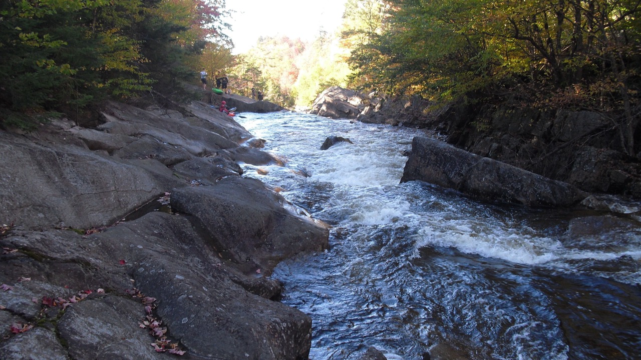 Photo of Others in Lowville