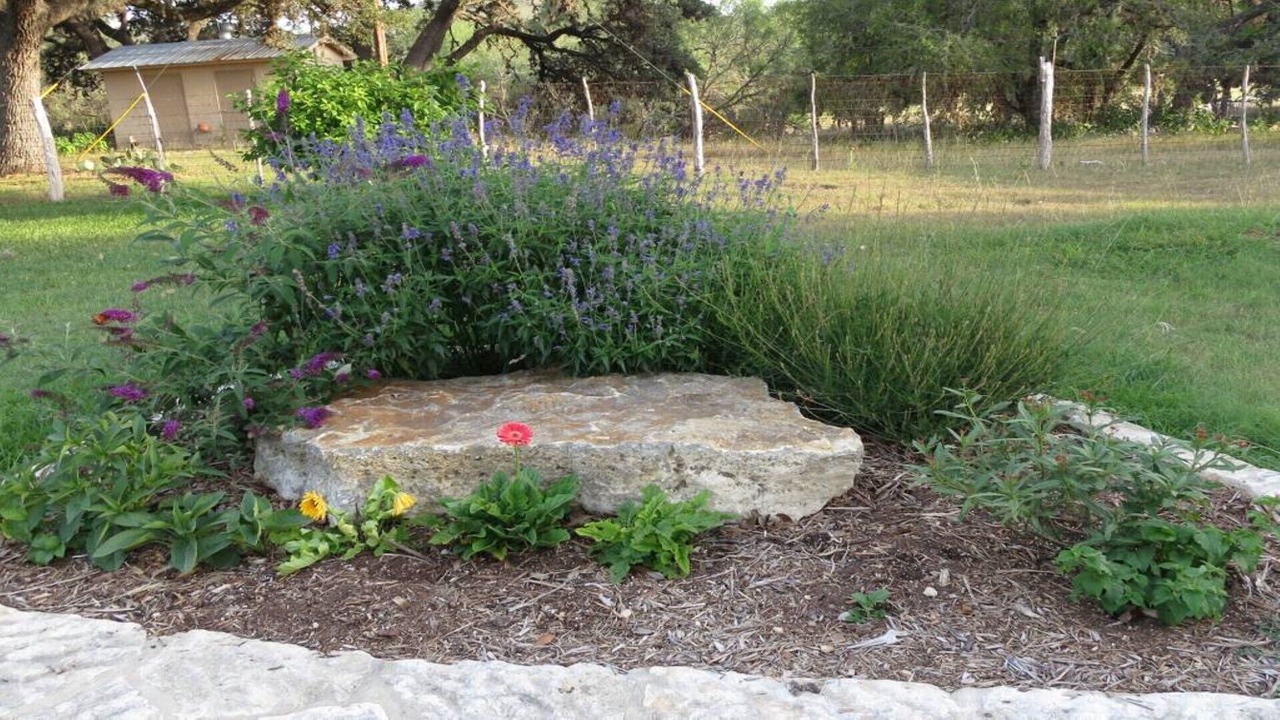 Photo of Outdoor in Comfort