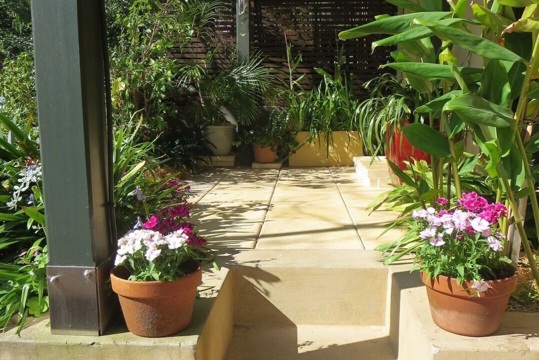 Photo of Outdoor in Balmain East