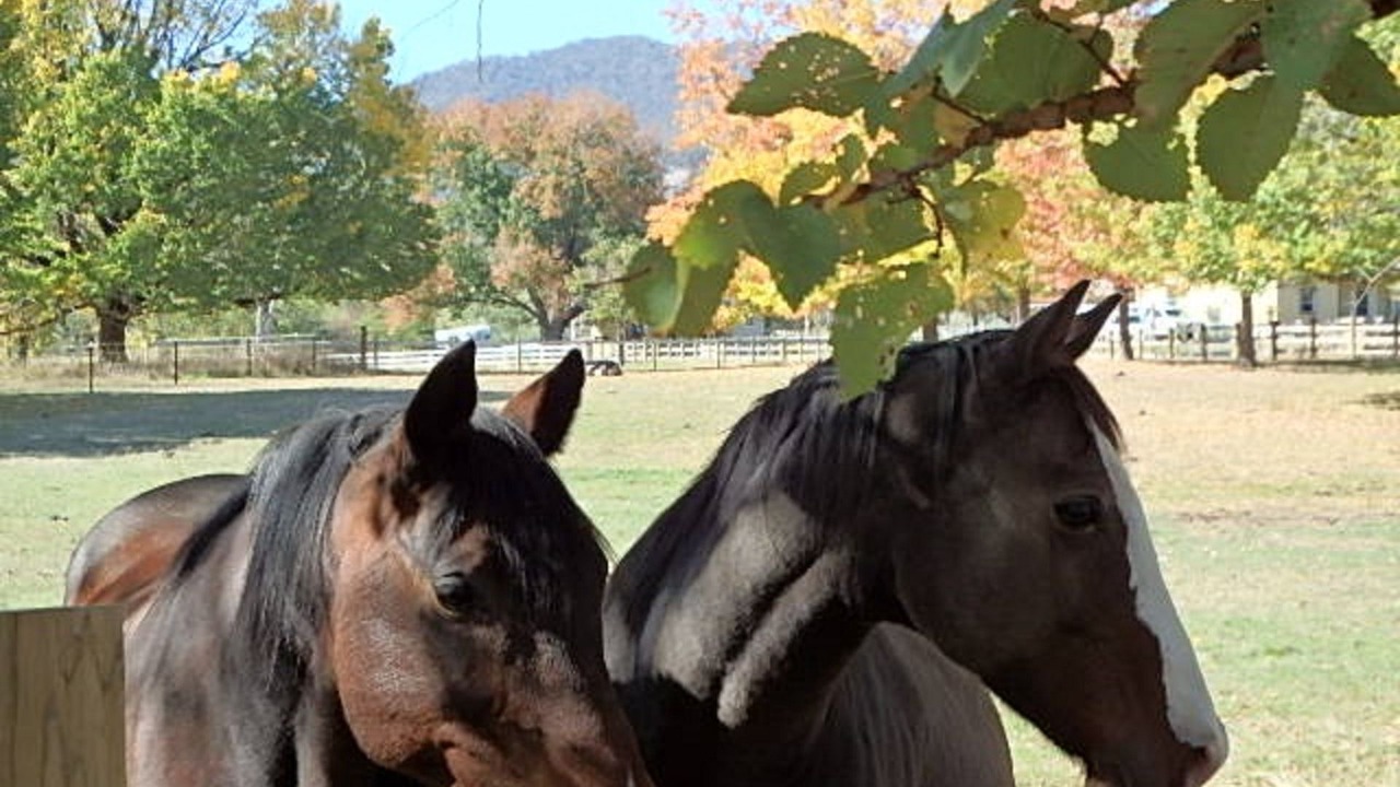 Photo of Others in Boorolite