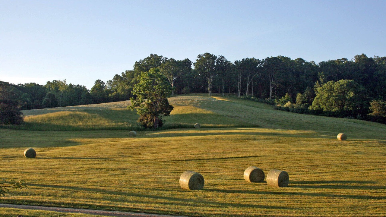 Photo of Others in Haywood