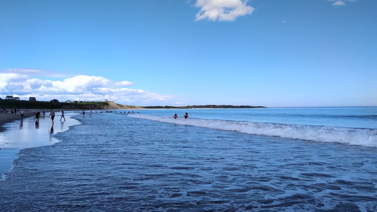 Photo of Others in Lunenburg County