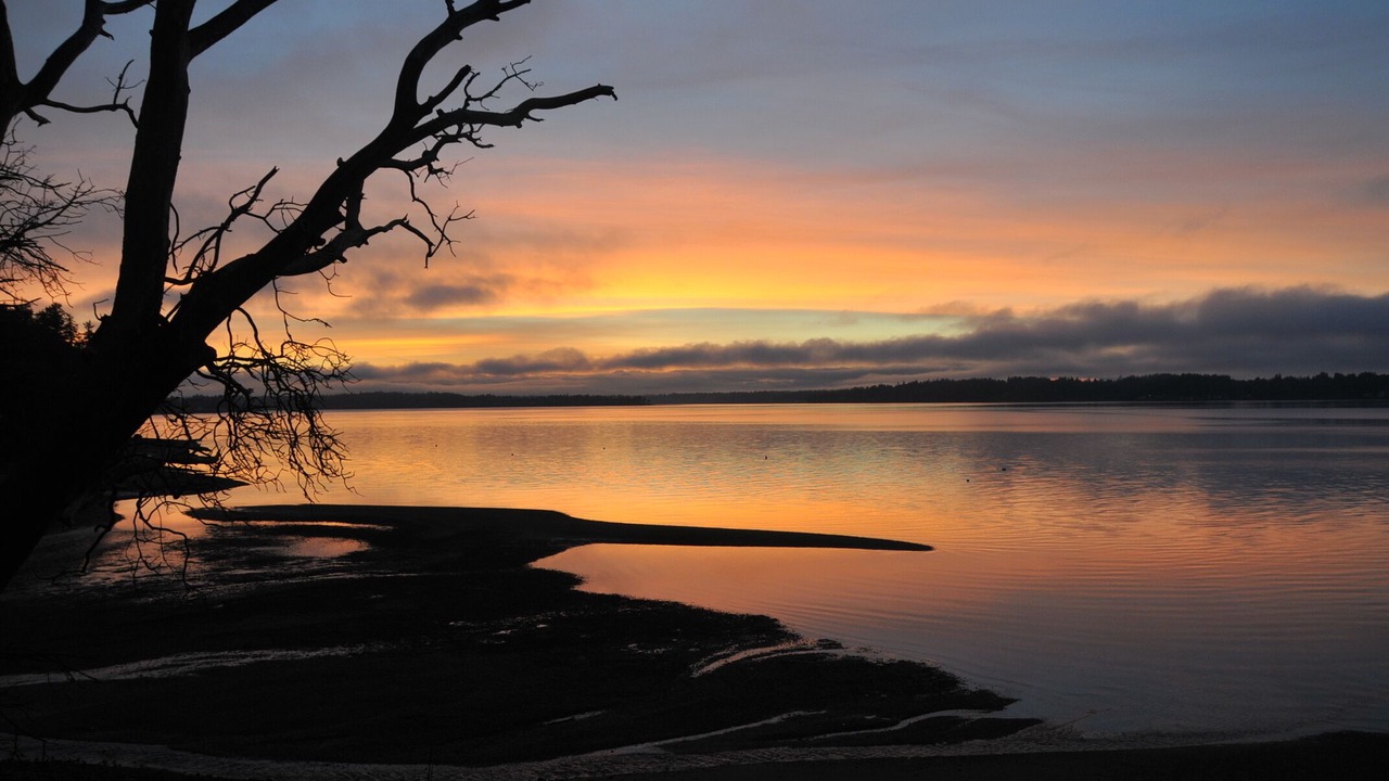 Photo of Others in Olympia