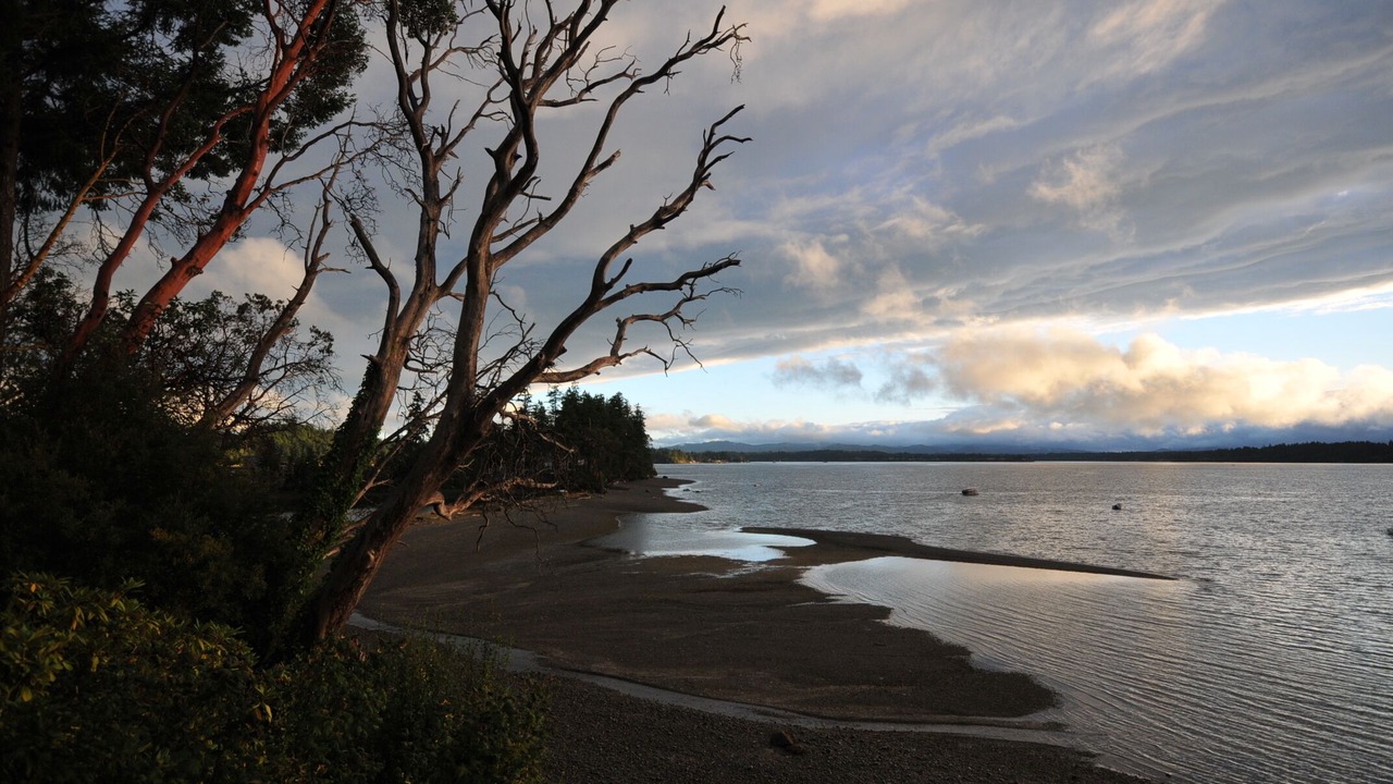 Photo of Others in Olympia