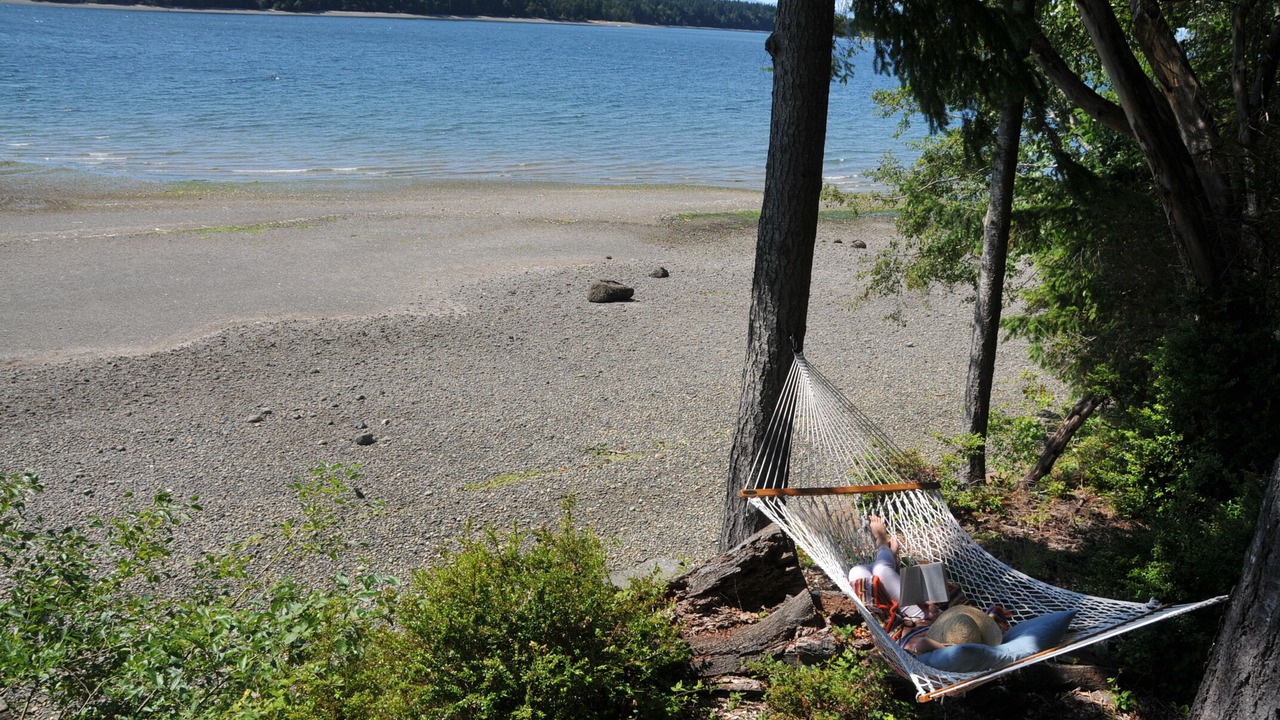 Photo of Others in Olympia