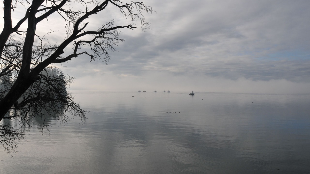 Photo of Others in Olympia