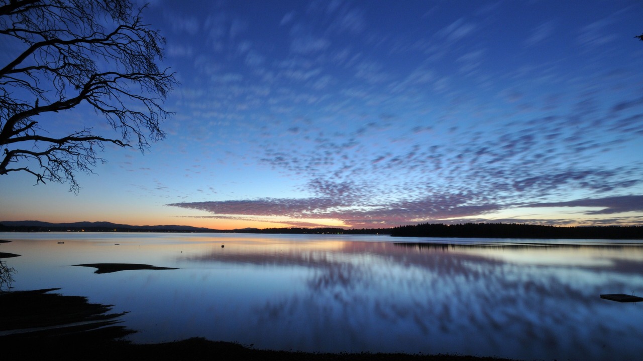 Photo of Others in Olympia