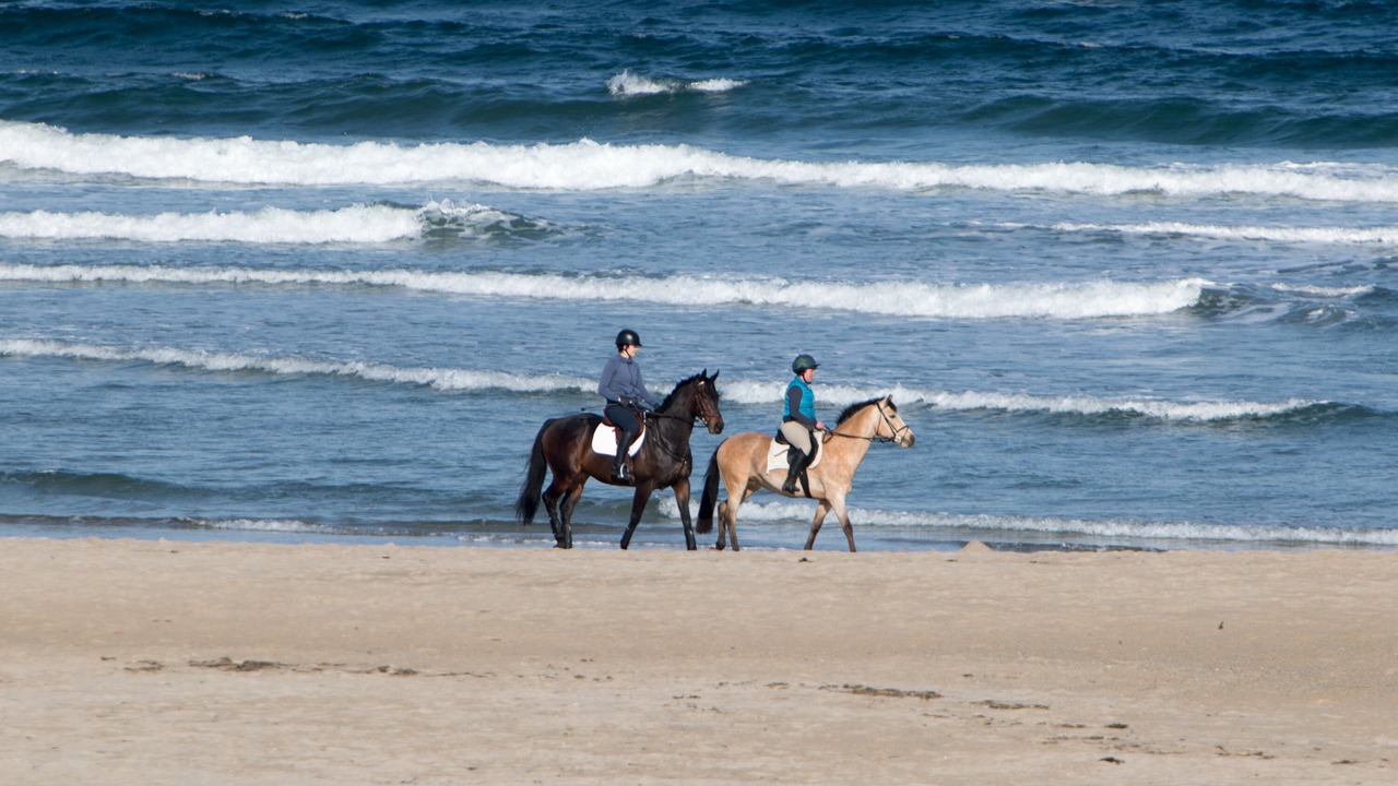 Photo of Others in Hampton