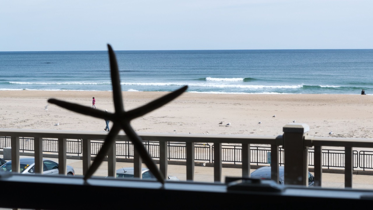 Photo of Others in Hampton