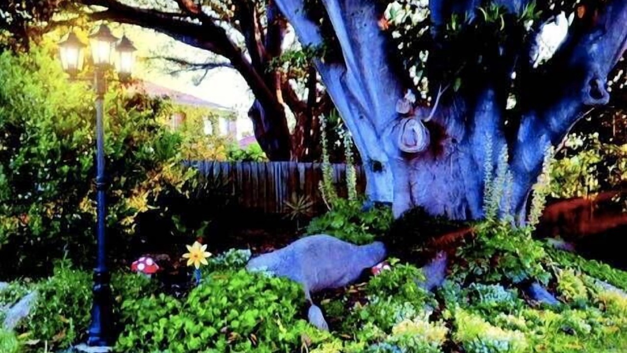 Photo of Outdoor in Metung