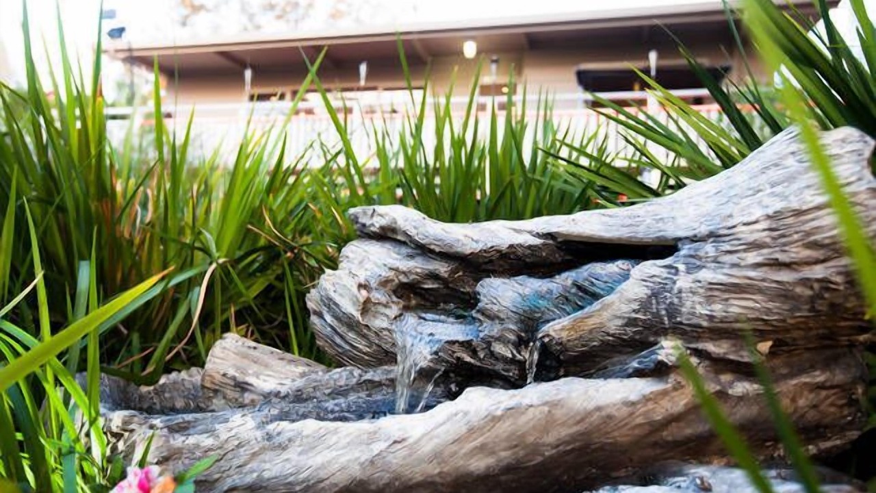 Photo of Outdoor in Metung