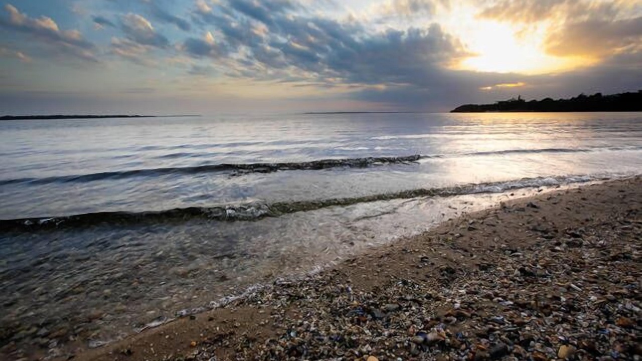 Photo of Others in Metung