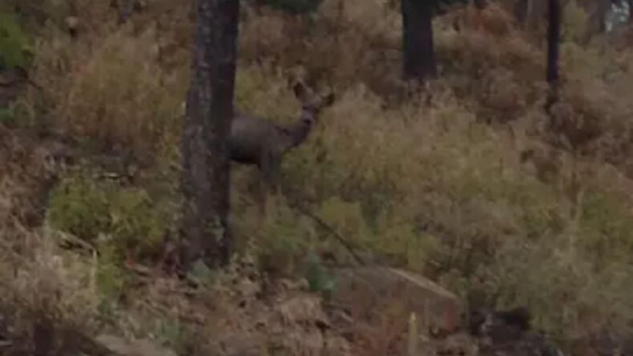 Photo of Outdoor in Alto