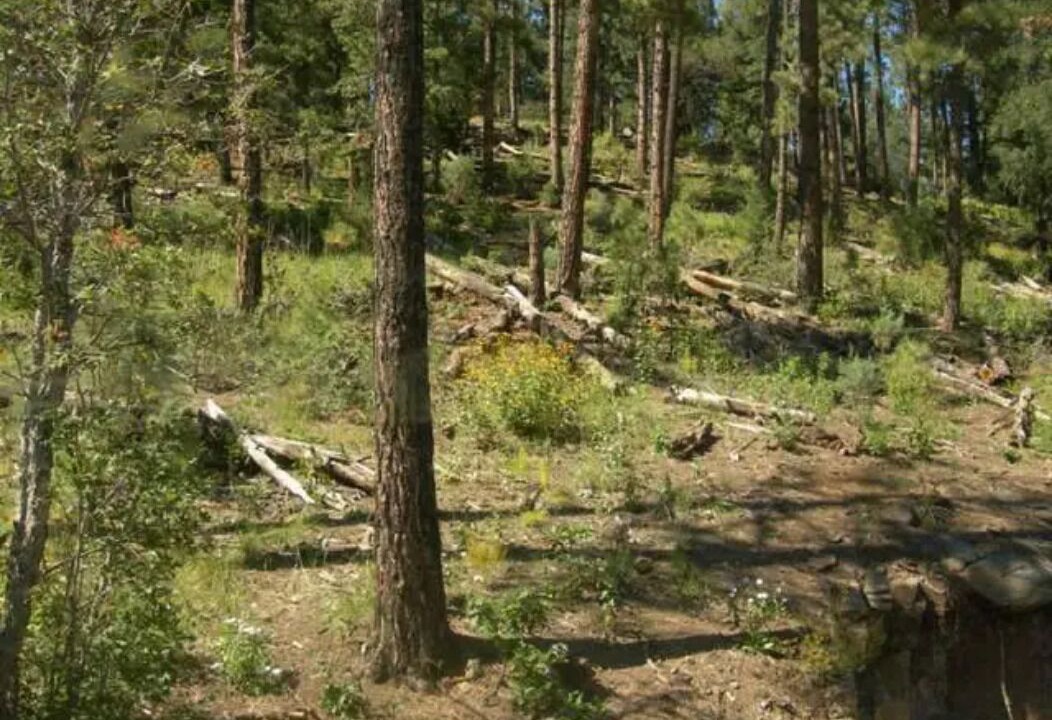 Photo of Outdoor in Alto