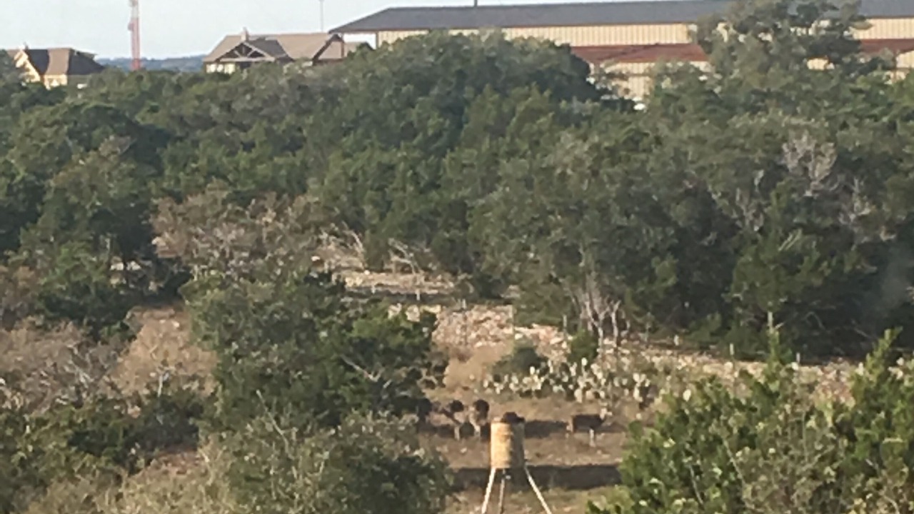 Photo of Outdoor in Kerrville