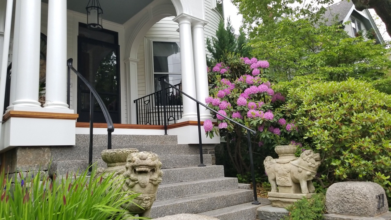 Photo of Others in Jamaica Plain