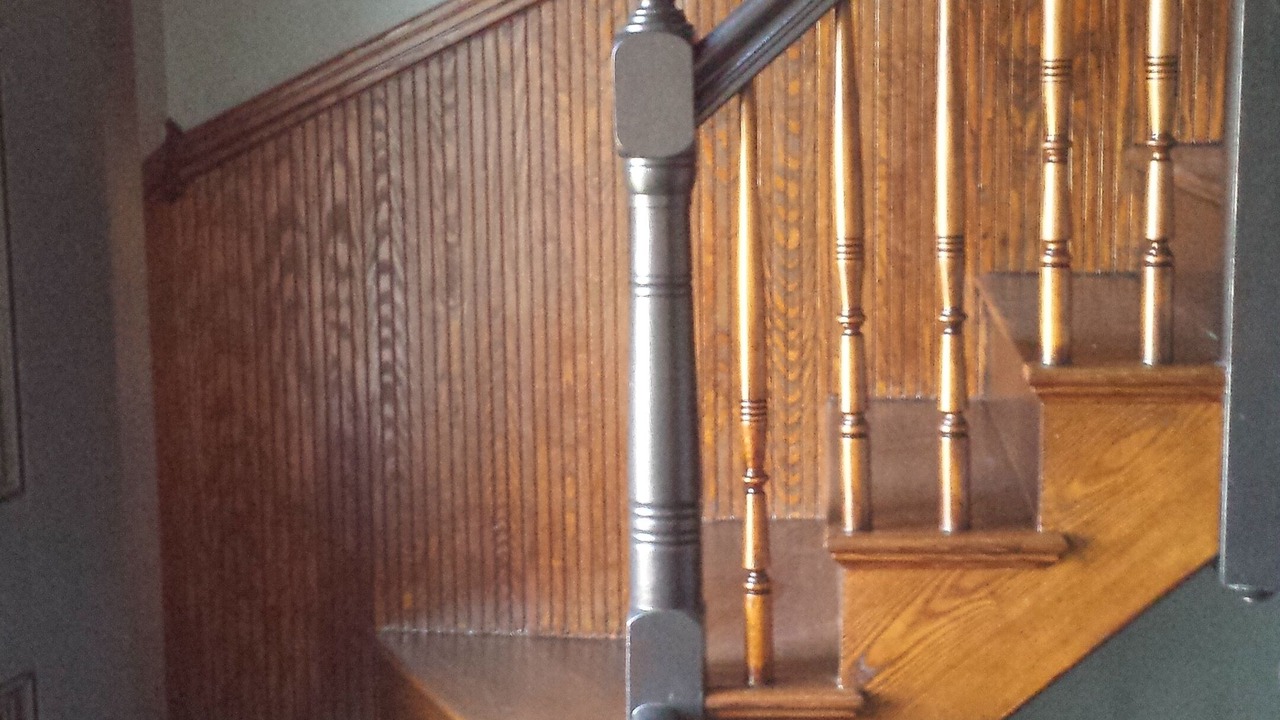 Photo of Outdoor in Jamaica Plain