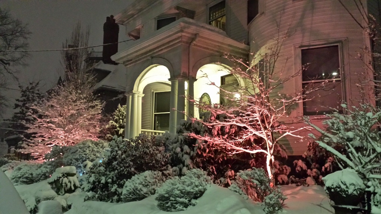 Photo of Others in Jamaica Plain