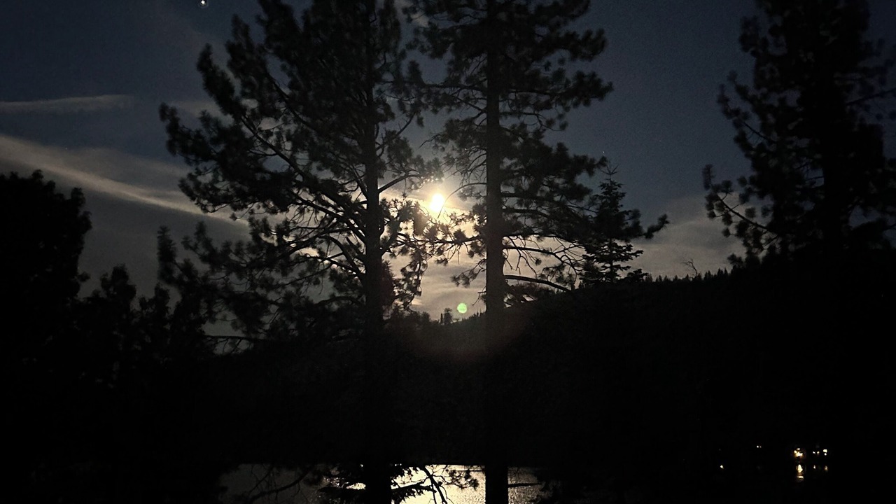 Photo of Others in Truckee
