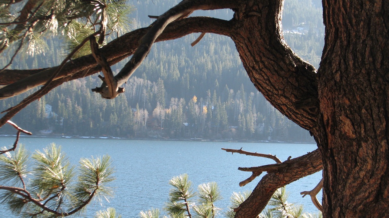 Photo of Others in Truckee
