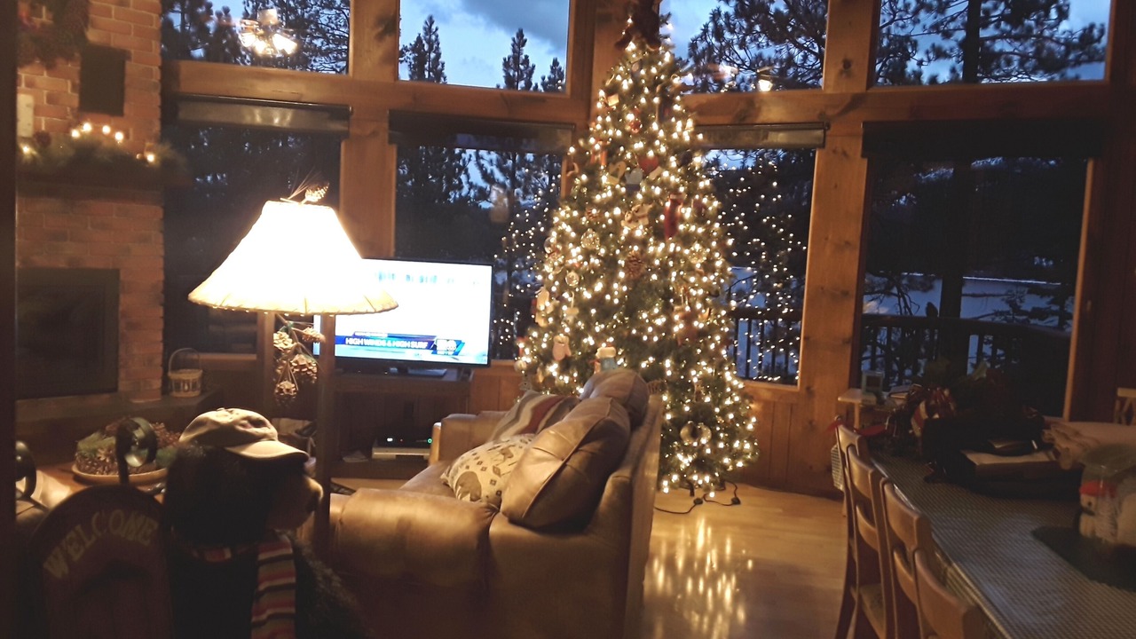 Photo of Livingroom in Truckee