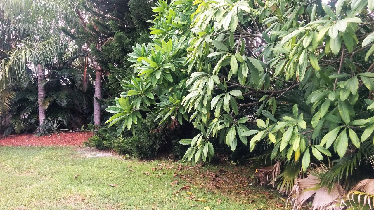 Photo of Others in Deerfield Beach