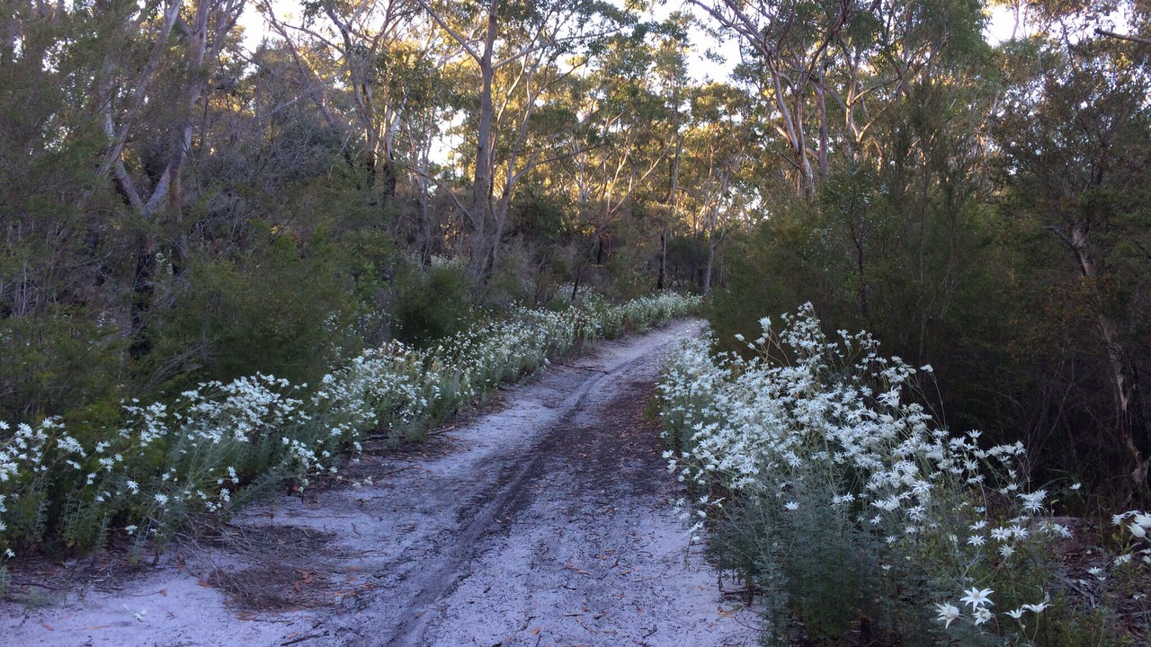 Photo of Outdoor in Hawks Nest