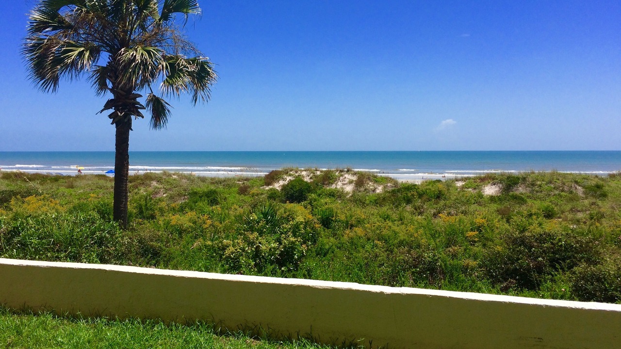 Photo of Others in Crescent Beach