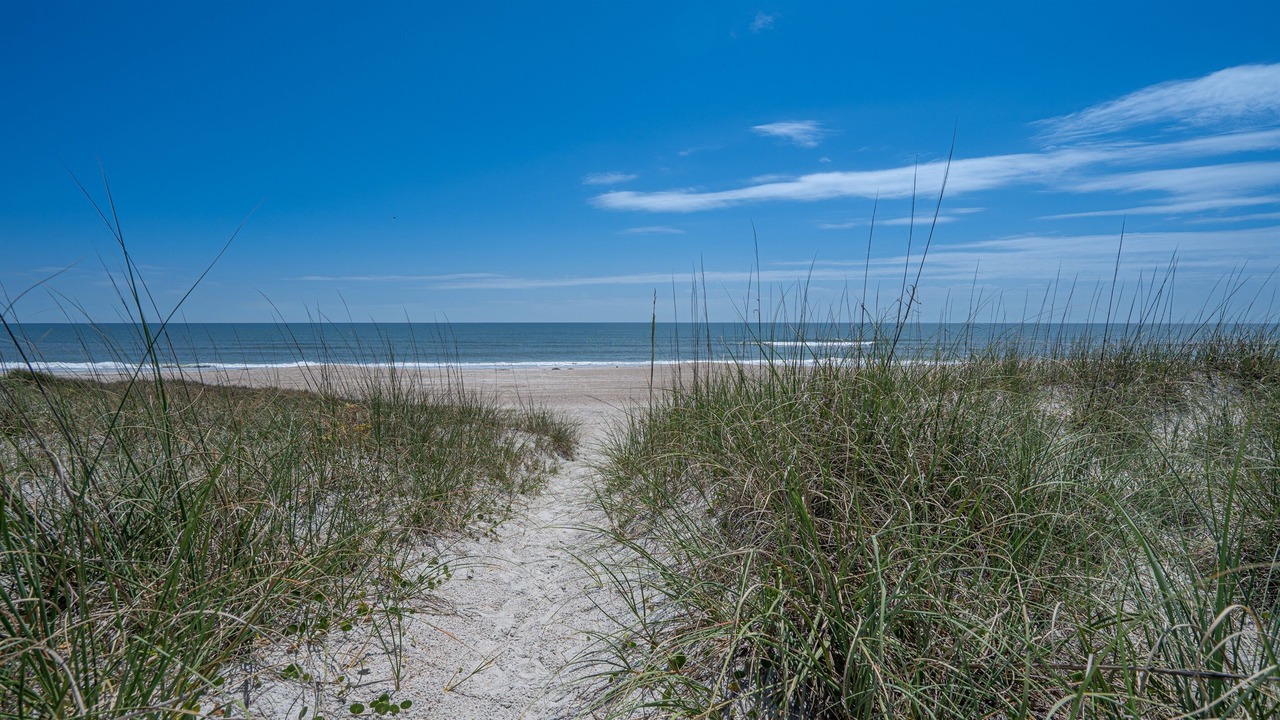 Photo of Others in Fernandina Beach