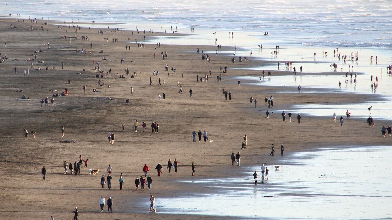 Photo of Others in Outer Sunset