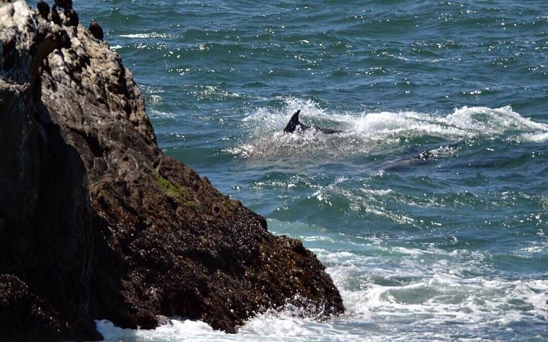 Photo of Others in Outer Sunset