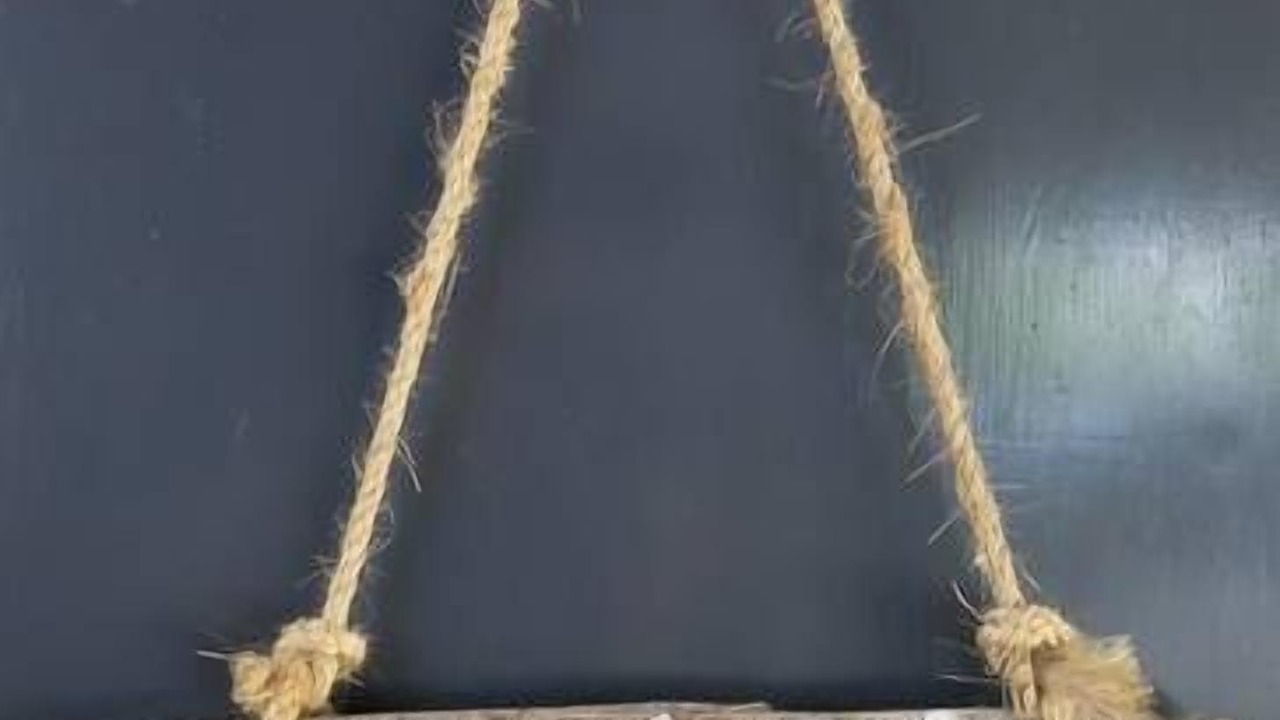 Photo of Others in Moggs Creek