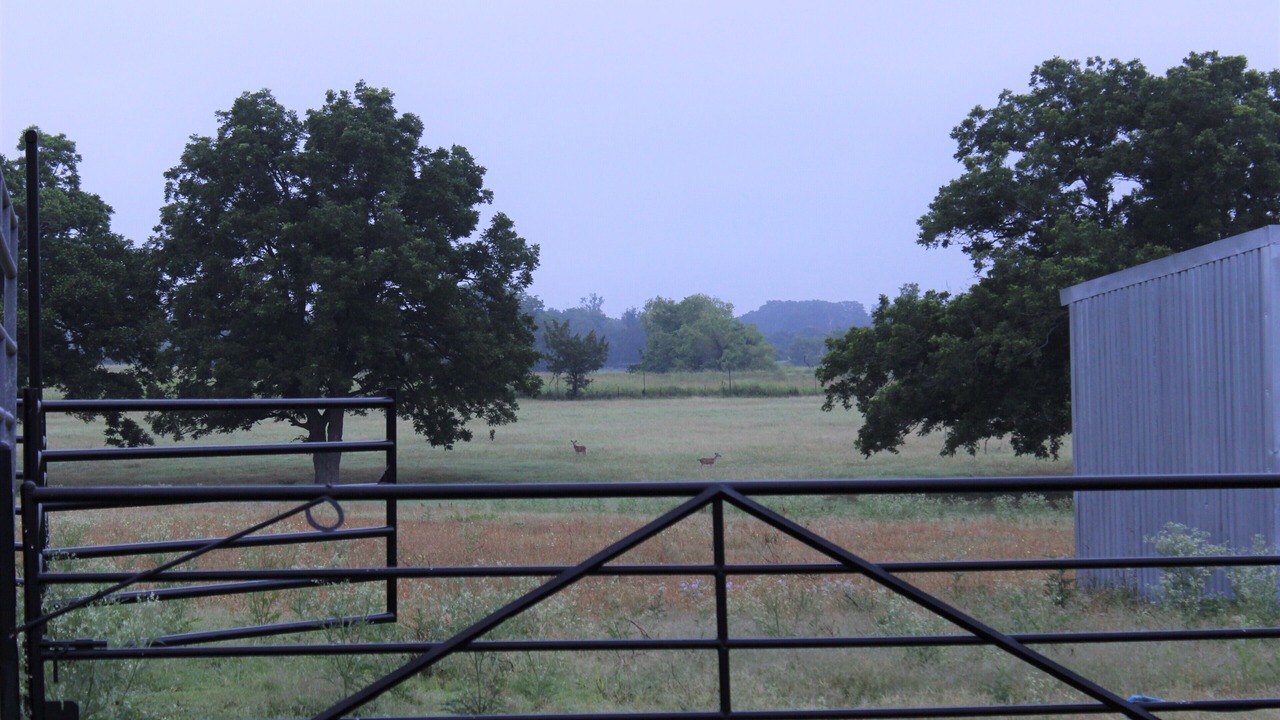 Photo of Others in Brenham