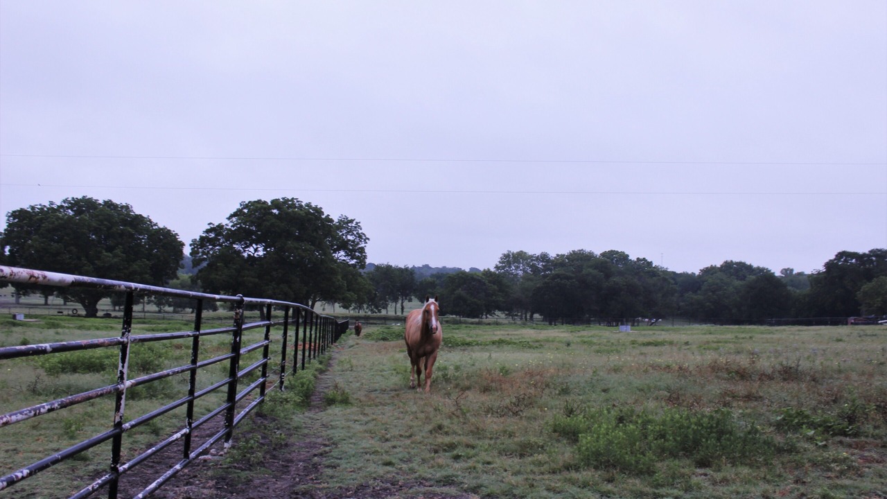 Photo of Outdoor in Brenham